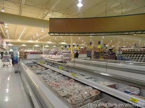 冷凍食品并非健康克星 水產品冷凍加工下的營養真相