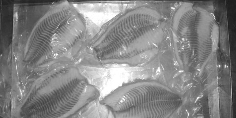《水產食品加工技術》最新章節 水產品冷凍加工技術解析