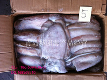 冷凍粗加工黑魚 阿里巴巴平臺(tái)上的水產(chǎn)品批發(fā)與供應(yīng)指南