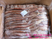 細(xì)鱗魚冷凍加工 現(xiàn)代水產(chǎn)品批發(fā)與供應(yīng)的優(yōu)質(zhì)選擇