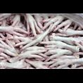 文登市埠口正昇冷藏廠 羊肉與水產品的現代化冷凍加工之路