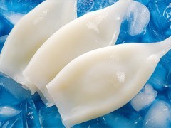 凍魷魚系列產品 水產品冷凍加工領域的優質選擇