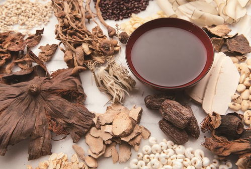科技驅(qū)動視角下中藥產(chǎn)業(yè)創(chuàng)新發(fā)展的問題與出路——聚焦中草藥科技領(lǐng)域技術(shù)咨詢